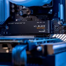 WESTERN DIGITAL �������� ���� WD Black SN7100 1TB NVMe  WDS100T4X0E - �������� 8