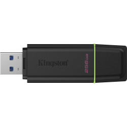 Флеш-накопичувач KINGSTON DTXG2/256GB - Картинка 2