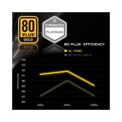 ASROCK Блок живлення 750W, 80 Pluse GOLD, PCIe 5.1 & ATX3 .1 Ready, Fully Modular, 135mm Fan SL-750G - Картинка 11