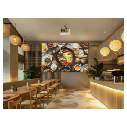 �������� VIEWSONIC LSD600W (VS20996) - �������� 20