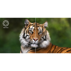 ACER �������� AOpen QH31S grey (LED,720P, 5500LL,1000:1 ,1.36:1,4 corner,3W(Bt),30000�,HDMI, USB-A, 0,66Kg AOpen QH31S grey - �������� 14