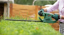 Bosch Кущоріз EasyHedgeCut 55 0.600.847.C02 - Картинка 2