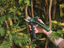 Секатор аккумуляторный Bosch EasyPrune, 12В, 2х3А, d реза 25мм, 1000гр 0.600.8B2.102 - Картинка 10