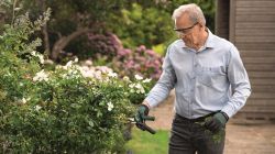 Секатор аккумуляторный Bosch EasyPrune, 12В, 2х3А, d реза 25мм, 1000гр 0.600.8B2.102 - Картинка 15