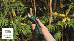 Секатор аккумуляторный Bosch EasyPrune, 12В, 2х3А, d реза 25мм, 1000гр 0.600.8B2.102 - Картинка 6