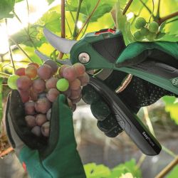 Секатор аккумуляторный Bosch EasyPrune, 12В, 2х3А, d реза 25мм, 1000гр 0.600.8B2.102 - Картинка 8