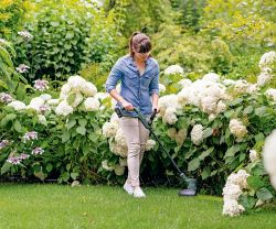 Bosch ������ ������� Bosch EasyGrassCut 18V-230 �������������, ��� PBA 18V 2.0Ah W-B �� AL 1810 CV 0.600.8C1.A03 - �������� 4