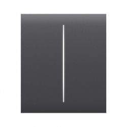 Ajax      CenterButton 2-gang for LightSwitch, Jeweler, , graphite 000029824