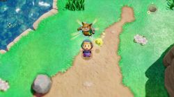 Games Software Game The Legend of Zelda: Echoes of Wisdom (Switch) 045496512408 - Картинка 8