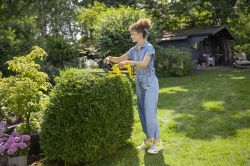 Кущоріз акумуляторний Karcher HGE 2-18 18В лезо 45см крок різу 18мм 2.34кг без АКБ та ЗП 1.445-600.0 - Картинка 6