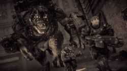 ���� ���������� PS5 Gears of War Reloaded, BD ���� 1180061 - �������� 10