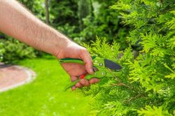 Verto �������, ����������, � ������������, �������� ��������, ������ � �����������, ����������� 15G205 - �������� 5