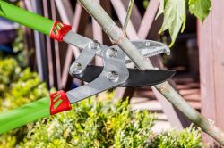 Verto �������-��������, 740 ��, ������ 80 �� 15G251 - �������� 2