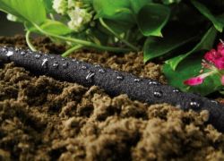 Шланг для капельного полива Cellfast DRIP 1/2'', 7.5м 19-001 - Картинка 3