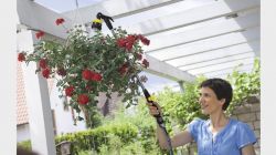 Ороситель ручной Karcher "Plus", Штанга для полива, душ садовый, 6 режимов, поворотное основание 2.645-158.0 - Картинка 6