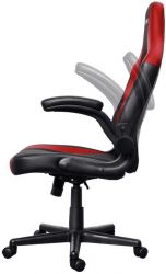 ������ Trust GXT703R RIYE, �� ����, Foldable Armrests, ������� 24986_TRUST - �������� 4