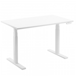 ���� ������������ 2E ��150W-MOTORIZED, ����������� ������, ������������� 220�, 62/128x150�75cm, ����� 2E-CE150W-MOTORIZED