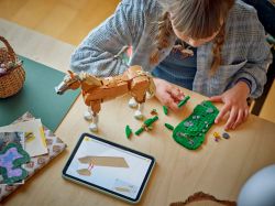 ����������� LEGO Creator ���������� ��� 31166 - �������� 7