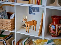 ����������� LEGO Creator ���������� ��� 31166 - �������� 9