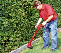������� ������� Einhell GC-ET 2522, 250��, 22��, 1.25�� 3402040 - �������� 2