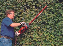 ������ Einhell GC-EH 6055/1 600�� ���� 61�� ���� ��� 16�� 3.3�� 3403320 - �������� 2