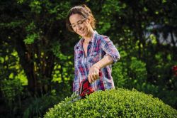 ������ ��� ����� ������������ Einhell GC-CG 36/70 Li WT 3.6� ��� 1�2����� 7/11�� ���� ��� 8�� 0.8�� 3410365 - �������� 6