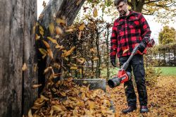 ���������� �������������� Einhell GP-LB 36/270 Li E BL - Solo ����������� 36�(18+18) 25000��/��� 2�� ��� ��� � �� 3433570 - �������� 13