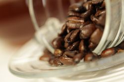 Canon EF 100mm f/2.8L Macro IS USM 3554B005 - Картинка 2