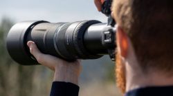 Объектив Canon RF 800mm f/11 IS STM 3987C005 - Картинка 2