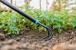 Cellfast Культиватор IDEAL, 160 см, 0.7 кг 40-240 - Картинка 2