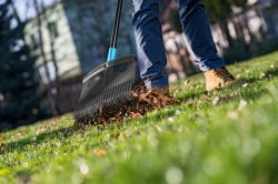 Граблі Cellfast IDEAL (40-310) - Картинка 2