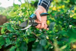 Cellfast ������� ��������� ERGO, ������� 20 ��, �� 18 �� 41-020 - �������� 2