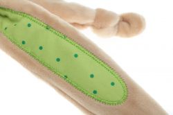 ������ ������� sigikid ������ � ����������� 26 �� 41419SK - �������� 9