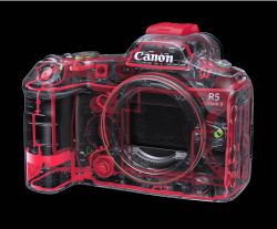 Цифр. фотокамера Canon EOS R5 + RF 24-105 f/4.0 L IS 4147C069 - Картинка 22