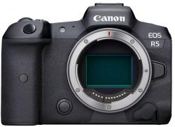 ����. ���������� Canon EOS R5 + RF 24-105 f/4.0 L IS 4147C069