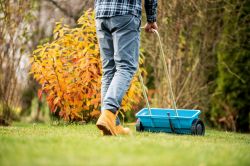 � ������ Cellfast, 12 �, ������ �������� 45��, ������� ������ 1-10�� 42-205 - �������� 5