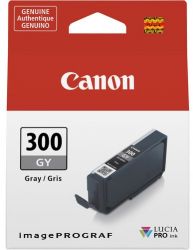  Canon PFI-300 imagePROGRAF PRO-300 Gray 4200C001