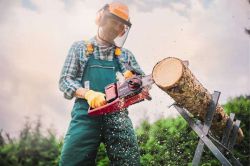 Пила цепная аккумуляторная Einhell GP-LC 36/35 Li-Solo, 18В PXC, шина 35см, бесщеточная, 15м/с, 3.79кг, без АКБ и ЗП 4501780 - Картинка 2