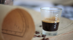 ����� ��� �������� Bazzara, 0.07� 4906 - �������� 5