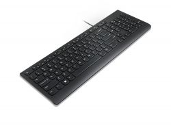 ���������� Lenovo Essential Wired Keyboard Black (4Y41C75141) - �������� 4