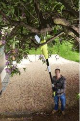 ���������-�������� ������������� Ryobi RP750450, ���� 20 �� Oregon, 750/450�� 5133002315 - �������� 4