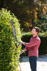 Кусторез Ryobi RHTRHT8165RL, 800Вт, лезвие 65см, шаг реза 34мм, 4кг 5133003649 - Картинка 3