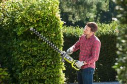 Кусторез Ryobi RHTRHT8165RL, 800Вт, лезвие 65см, шаг реза 34мм, 4кг 5133003649 - Картинка 4