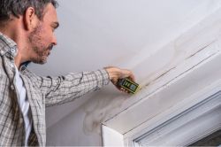Измеритель влажности RYOBI RBPINMM1 5133005032 - Картинка 4