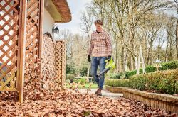    Ryobi ONE+ RY18BLA-0 18 145/ 2.1     5133005411 -  2