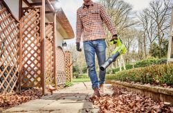    Ryobi ONE+ RY18BLA-0 18 145/ 2.1     5133005411 -  3