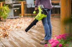    Ryobi ONE+ RY18BLA-0 18 145/ 2.1     5133005411 -  4