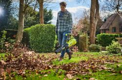 ���������� ������� �������������� Ryobi Max Power RY36BLXA-140P 36� 1�4��� �� 176��/� 3.5�� 5133005418 - �������� 2