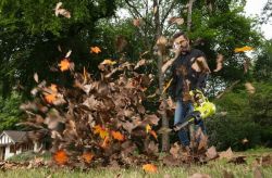 ���������� ������� �������������� Ryobi Max Power RY36BLXA-140P 36� 1�4��� �� 176��/� 3.5�� 5133005418 - �������� 6