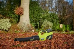 ���������� ������� �������������� Ryobi Ryobi RY36BLXB-0, 36� MAX POWER, 306 ��/�, 1240 �.���/���, 3�� ��� ��� � �� 5133005646 - �������� 4